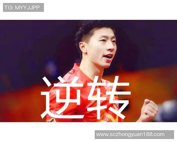 深圳排球队灵活性展现出色大满贯点评分析其战术与表现