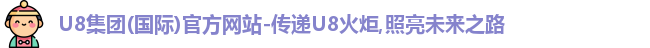 U8集团